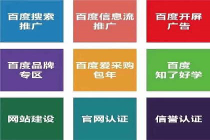 案例分析：百度推广效果优化技巧